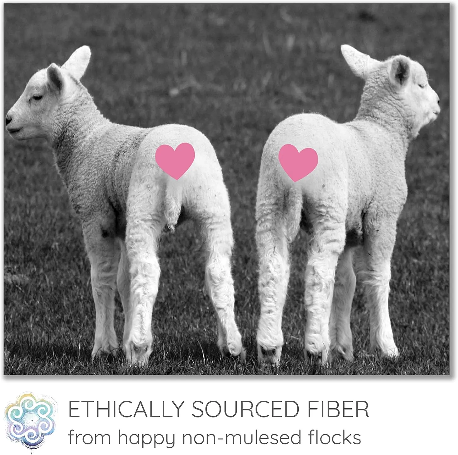 BAE by Living Dreams Yarn. Cuddly, Strong & Super Soft for Next to Skin Winter Knits. 100% Extrafine Merino Bulky Roving Yarn, Baby Carriage