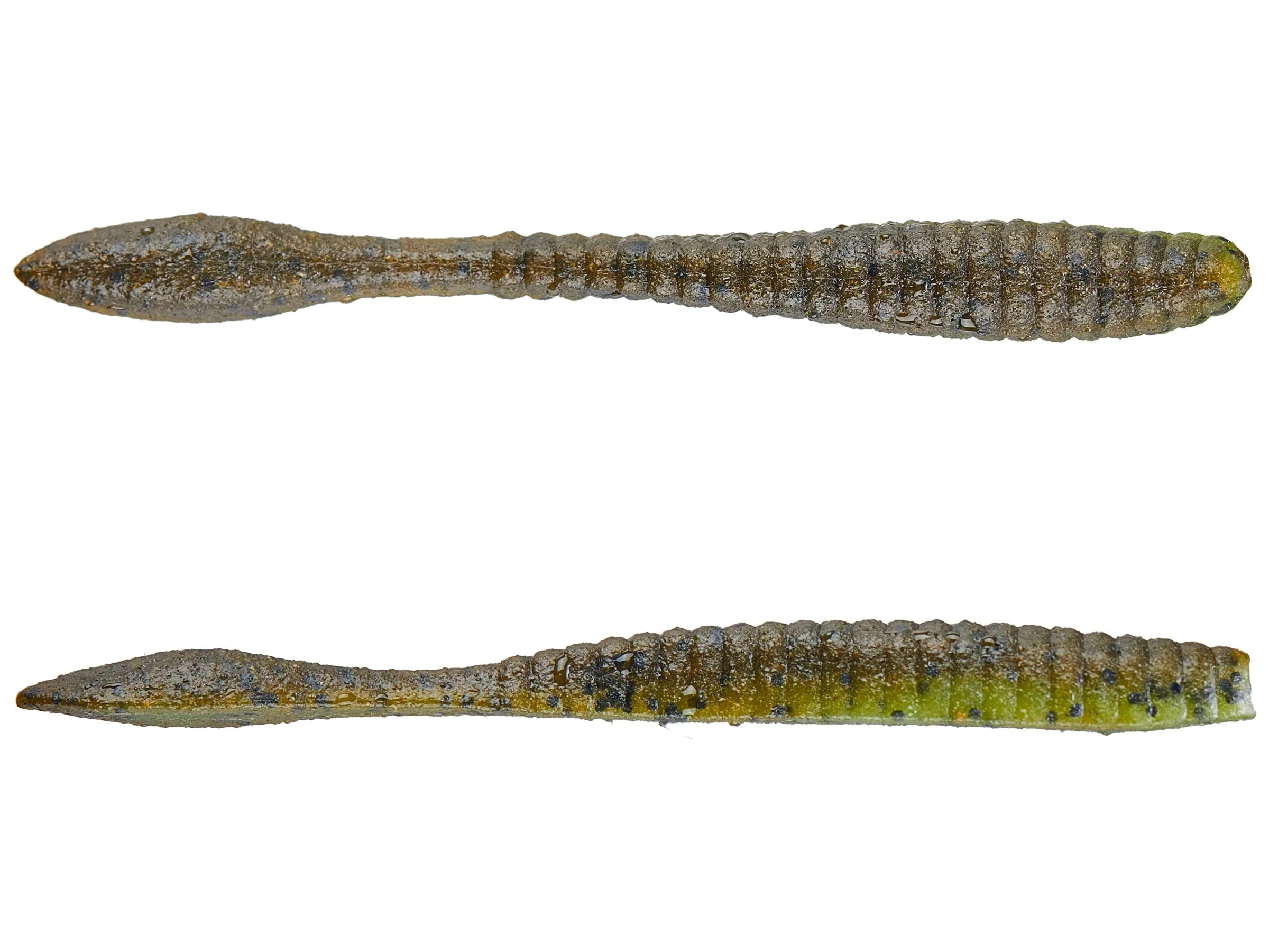 Berkley Flat Worm