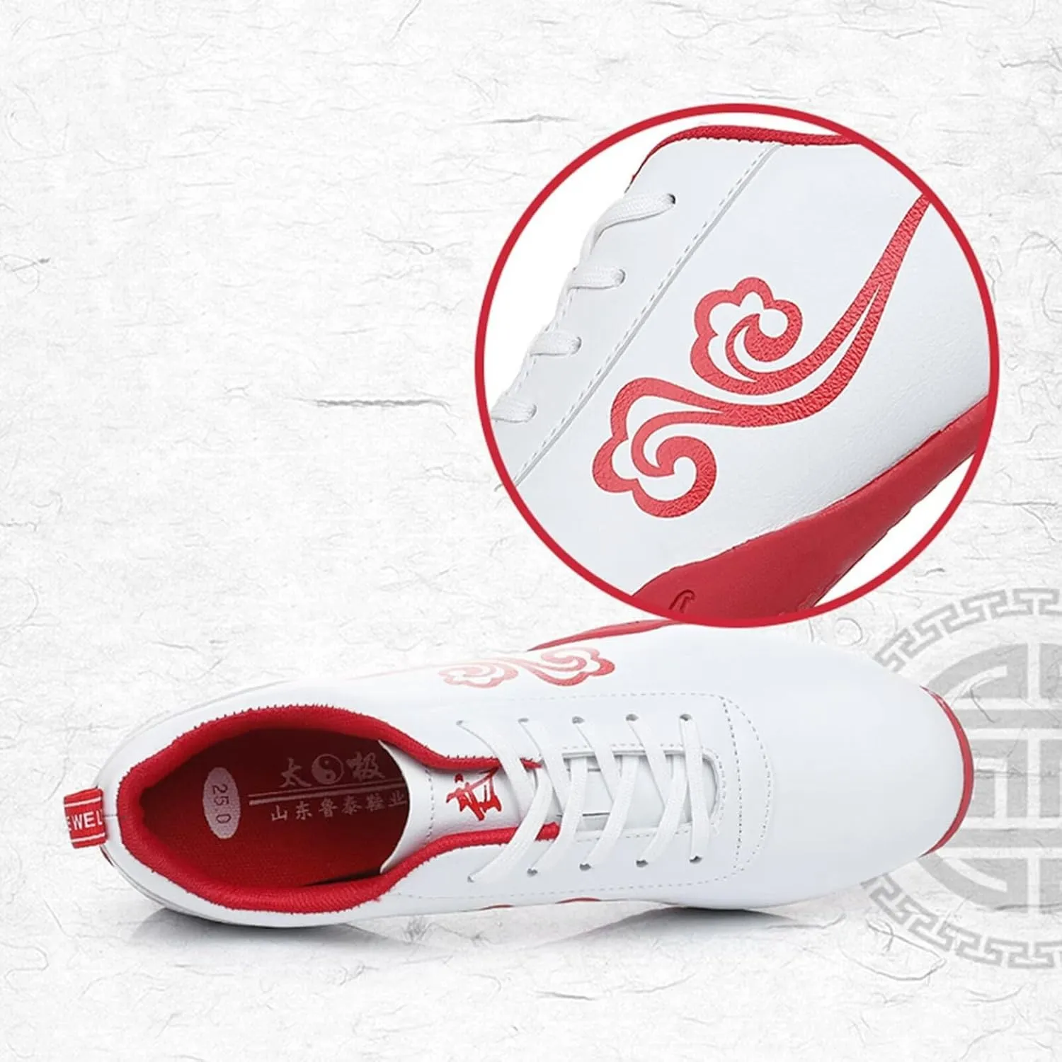 Chinese Tai-Chi Wu Shu Kungfu Shoes for Women Adults Non Slip Tai Ji Kong Fu Sport Training Shoes Breathable Taekwondo Shoes Martial Arts Shoes