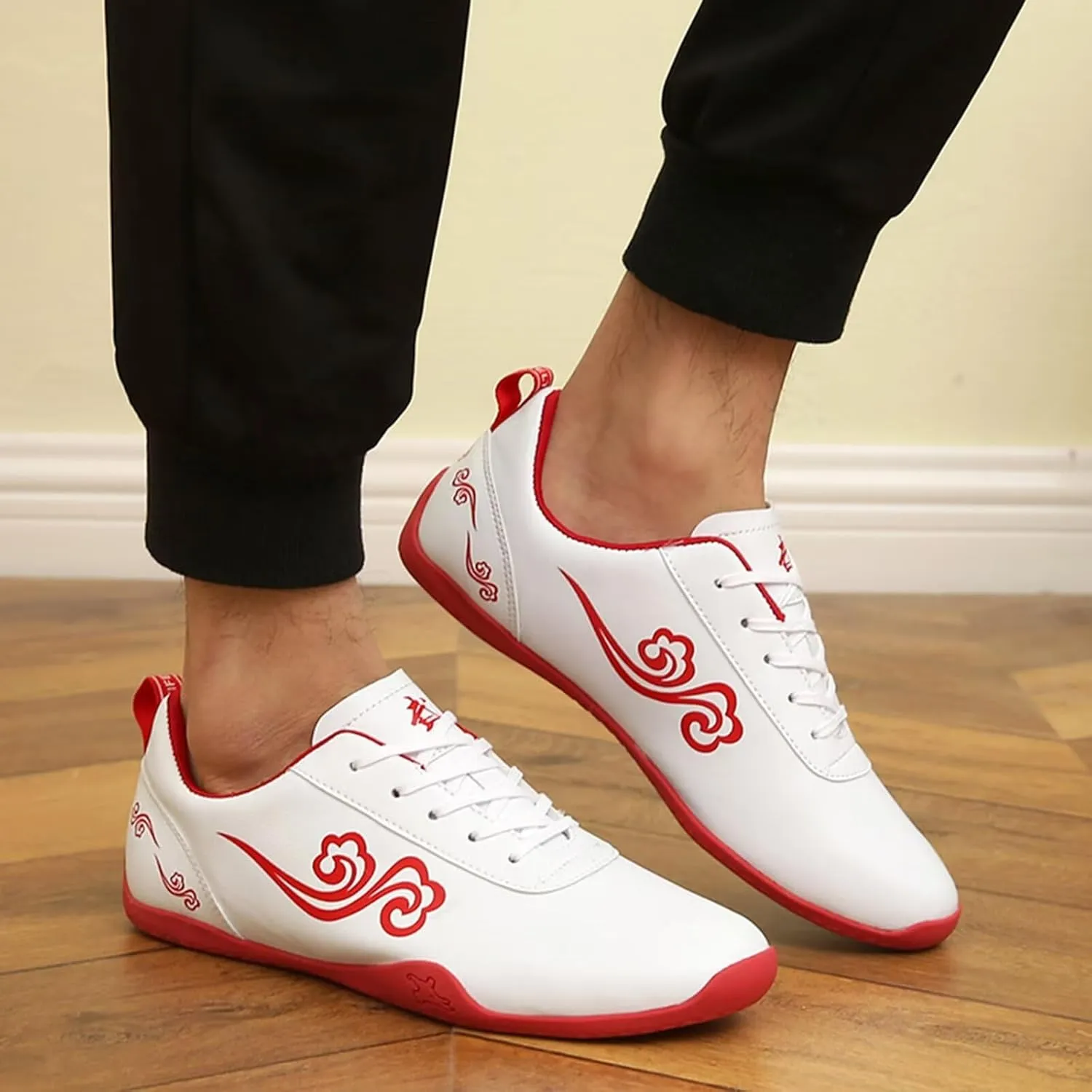 Chinese Tai-Chi Wu Shu Kungfu Shoes for Women Adults Non Slip Tai Ji Kong Fu Sport Training Shoes Breathable Taekwondo Shoes Martial Arts Shoes