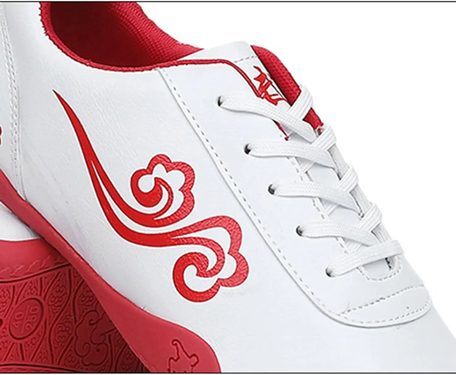 Chinese Tai-Chi Wu Shu Kungfu Shoes for Women Adults Non Slip Tai Ji Kong Fu Sport Training Shoes Breathable Taekwondo Shoes Martial Arts Shoes