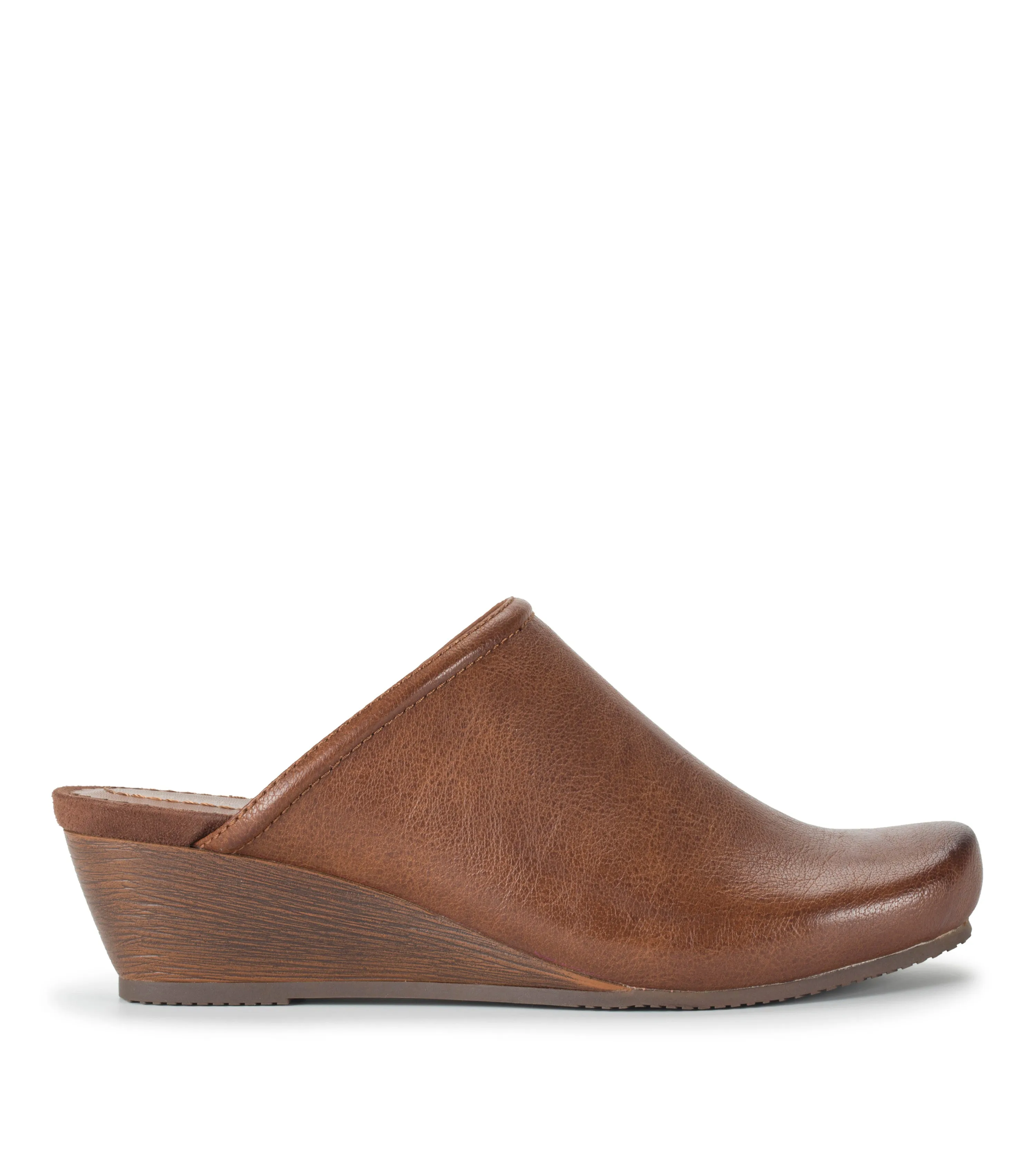 Lilibet Mule