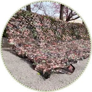 Outdoor Camo Net, Reinforced Camouflage Netting, 2x4m 3x6m 4x8m 5x10m Sunblock Shade Net, Camouflage Net for Military Decoration/Hunting,cp-3x5m/9.8 * 16.4ft