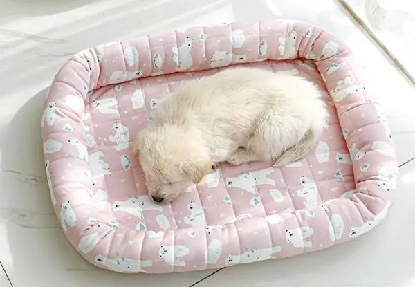 Pet Breathable Pad