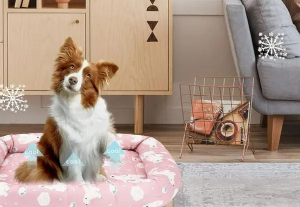 Pet Breathable Pad