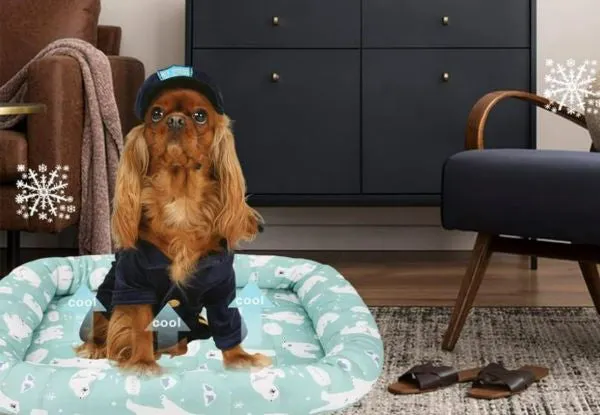 Pet Breathable Pad