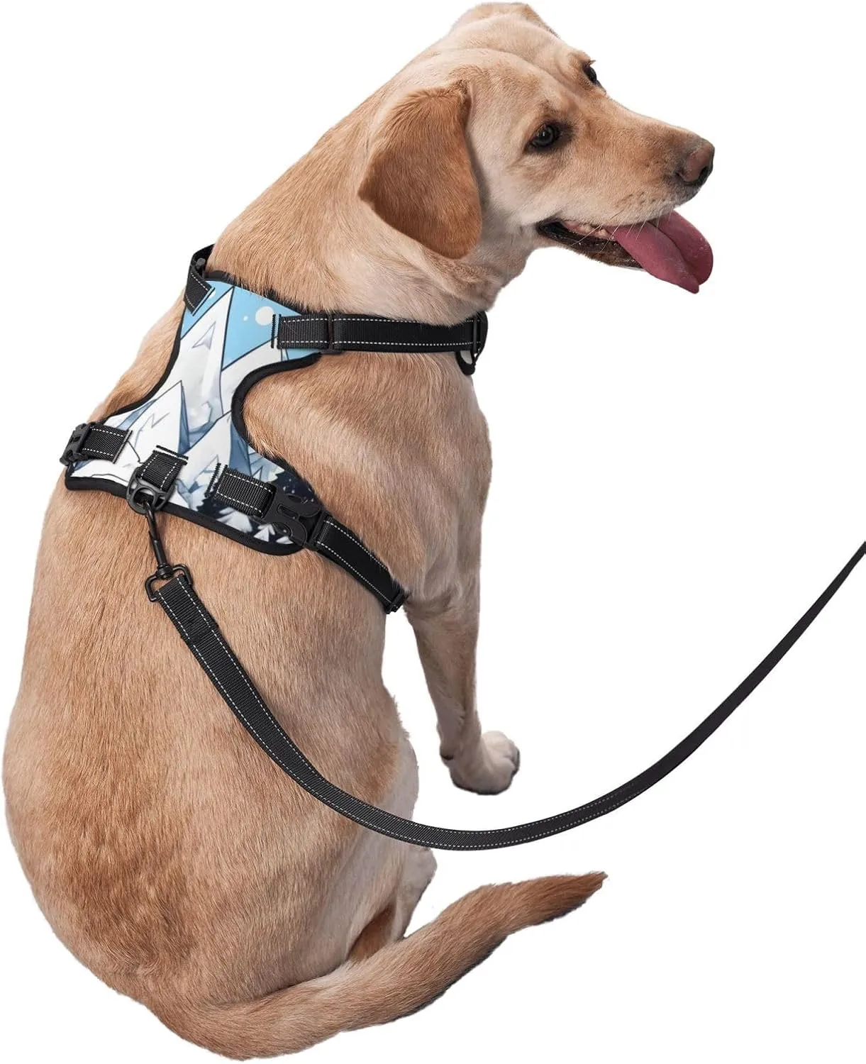 Snow-Capped Mountains Large Printed pet Traction Vest - Suitable for Dog Walking, Hiking and Outdoor Adventures,
