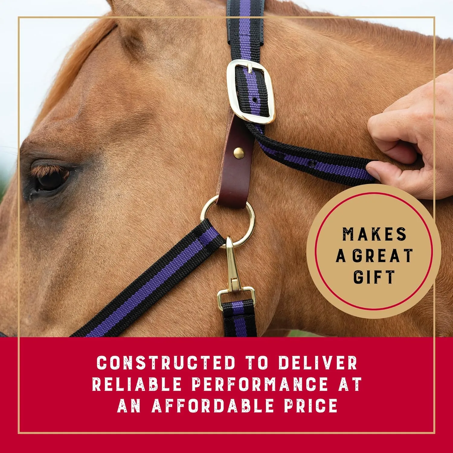 Weaver Equine Breakaway Horse Halter, Comfort Foam Padding, Adjustable Chin & Throat Snap Halters for Horses, Equine Tack,Average Size